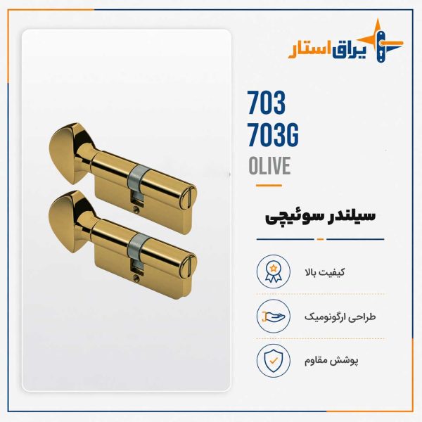 سیلندر سرویسی بهریزان مدل 703-703G - زیتونی