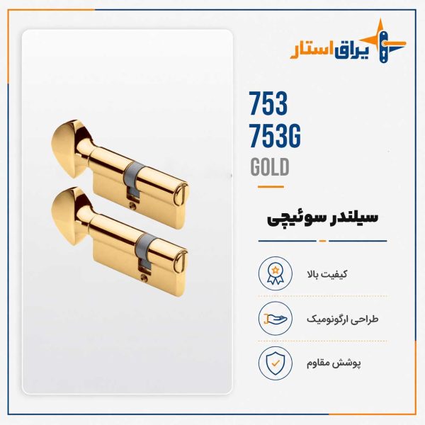 سیلندر سرویسی بهریزان مدل 703-703G - طلایی