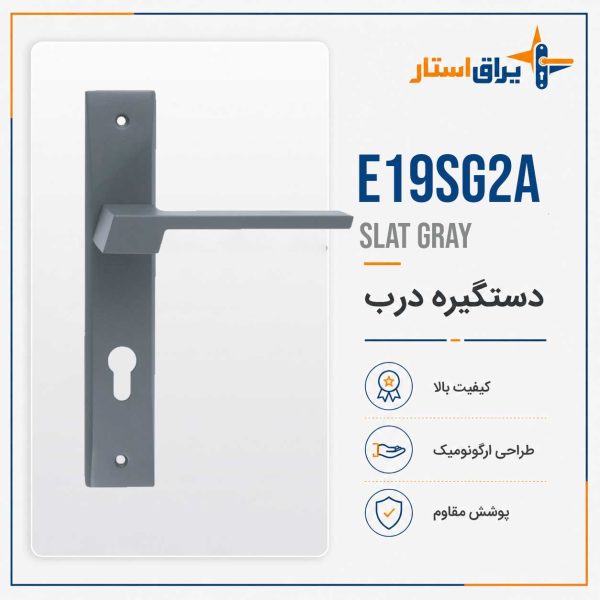 E19sg2a